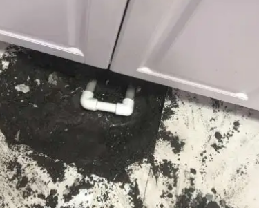 源汇查漏水哪家好